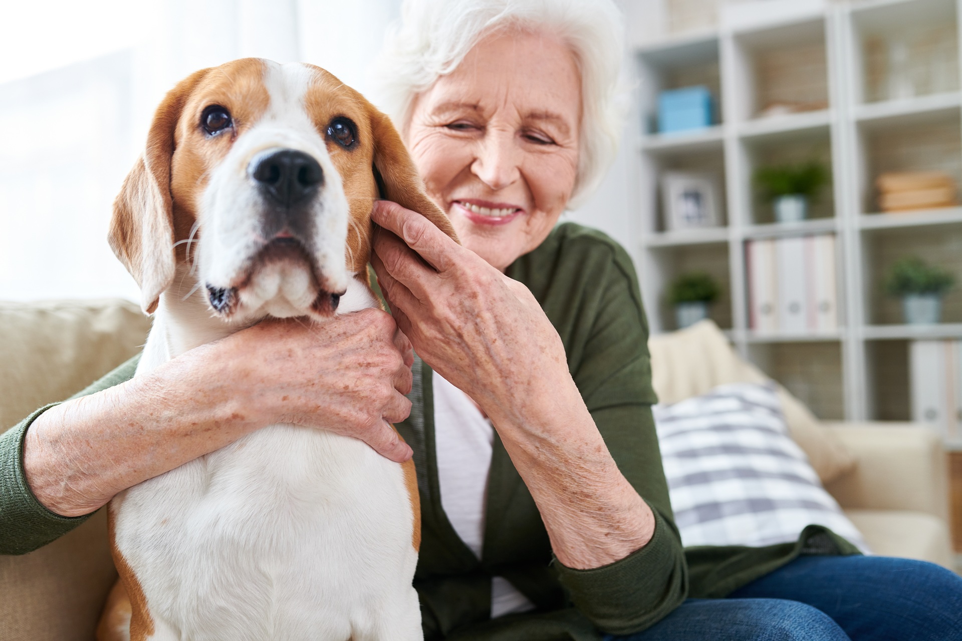 Pflegedienst Frankfurt mit Hundekontakt im Wohnbereich